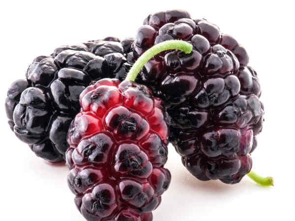 പഴവര്‍ഗങ്ങള്‍