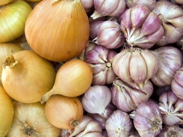 ചെറിയ ഉള്ളി, കല്‍ക്കണ്ടം 