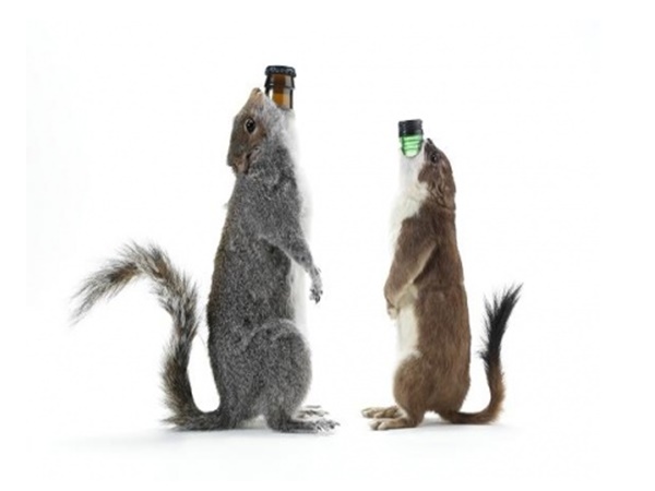 ദി ഏന്ഡ് ഓഫ് ഹിസ്റ്ററി ദി ഏന്ഡ് ഓഫ് ഹിസ്റ്ററി