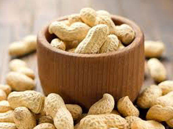 നിലക്കടല