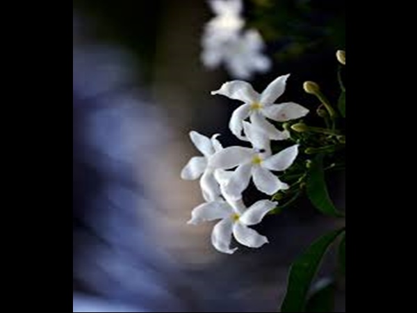 ചെങ്കണ്ണ് വന്നാല്‍ ചെയ്യേണ്ടത്