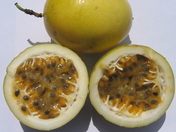 ഫാഷന്‍ ഫ്രൂട്‌സ്