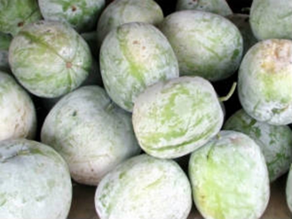 നാഡീവ്യൂഹം