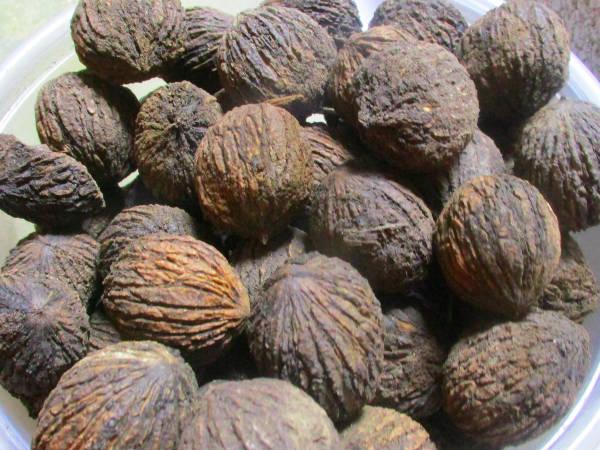 ഡിഎന്‍എ വ്യത്യാസം