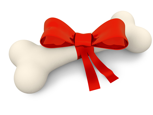 സംസ്‌കരിച്ച ഇറച്ചി