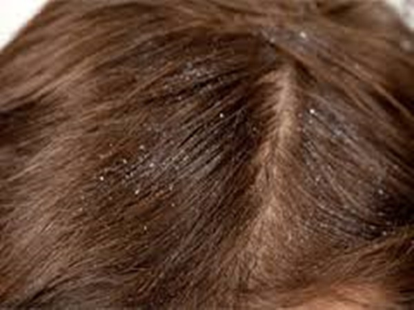 മരുന്നുകളുടെ ഉപയോഗം