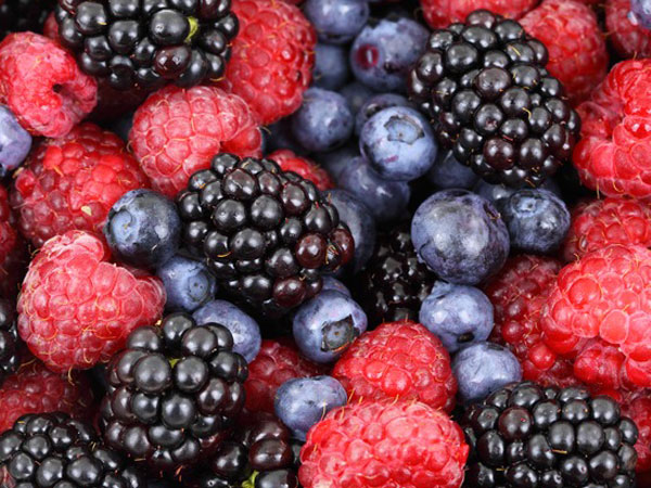 നാരുകള്‍