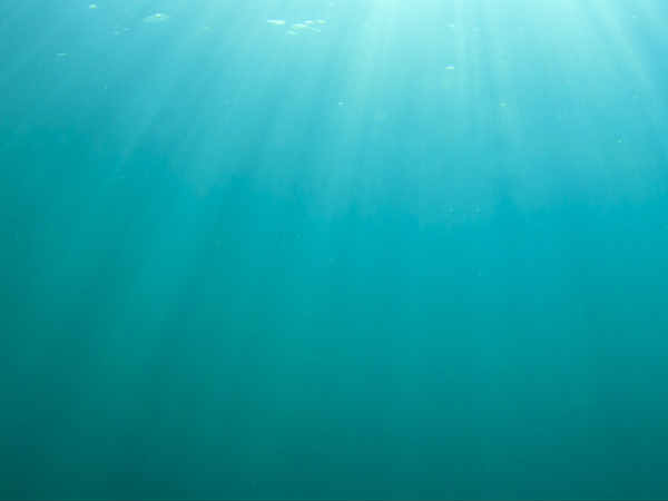 ഹരിത നീലം ഹരിത നീലം