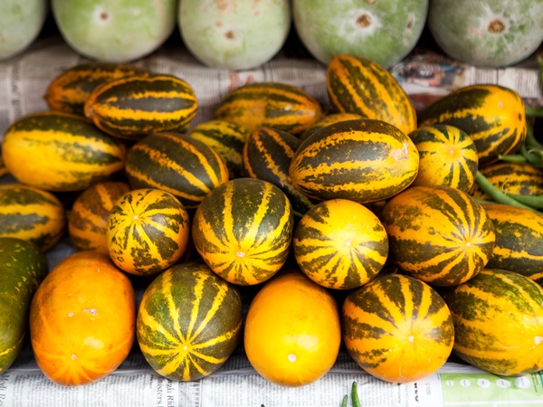 ചര്‍മ്മത്തിന്