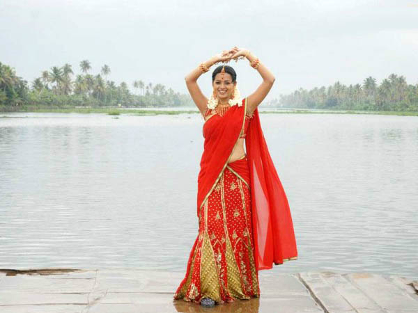 ദാവണിക്കും ആവശ്യക്കാര്‍