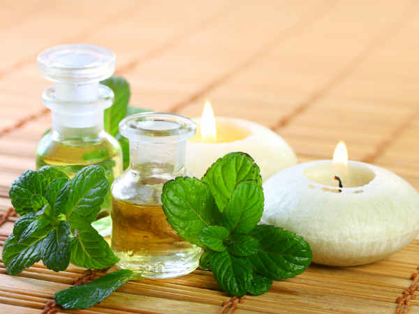  കര്‍പ്പൂര തുളസി