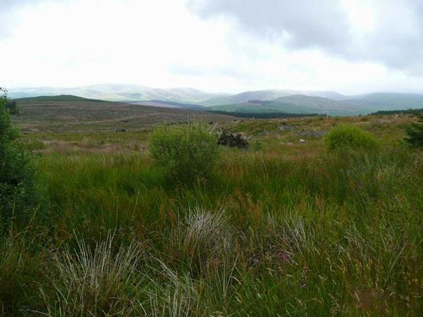 പ്രകൃതിയുടെ വികൃതികള്‍