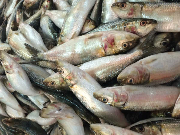 വിറ്റാമിന്‍ ഡിയുടെ കലവറ