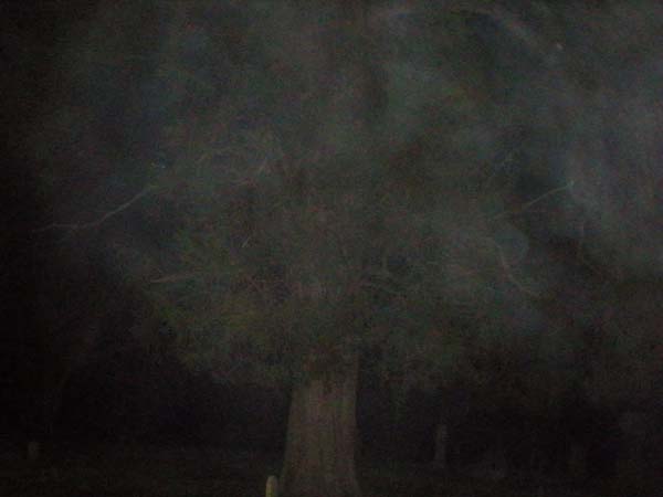  കാലാവസ്ഥാ മാറ്റം