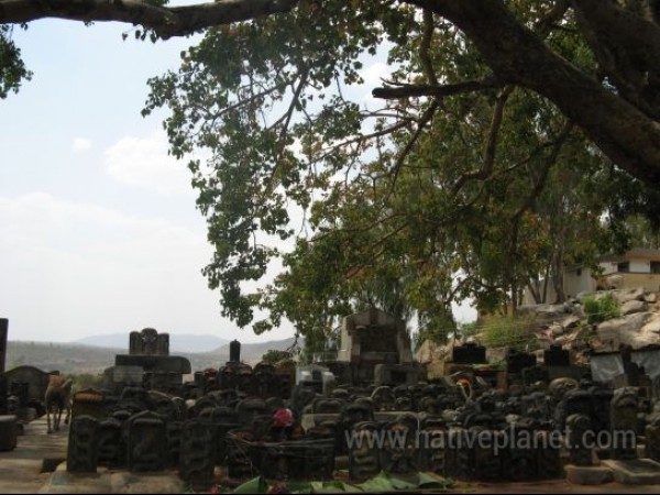 സര്‍പ്പക്കാവുകള്‍