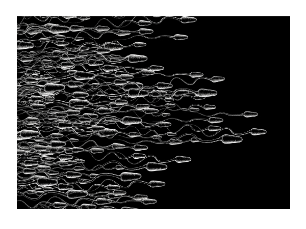 ലോഹങ്ങളുമായുള്ള സംസര്‍ഗം