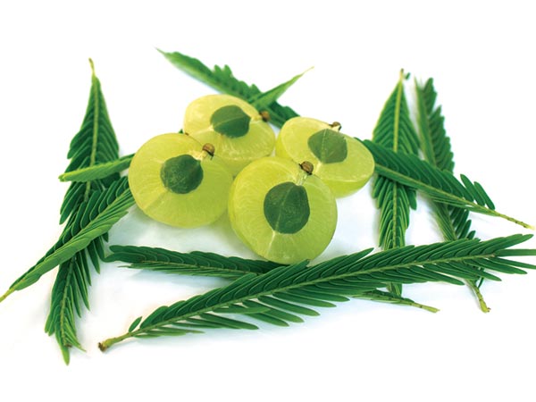 തടി കുറയാന്‍ നെല്ലിക്ക