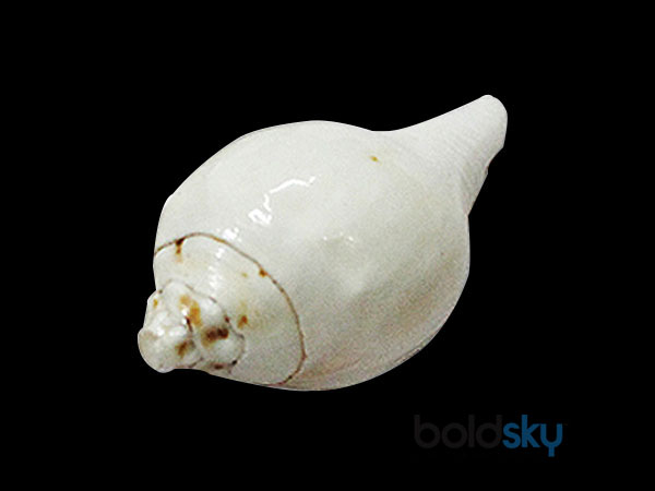 തീര്‍ത്ഥം സേവിക്കണം