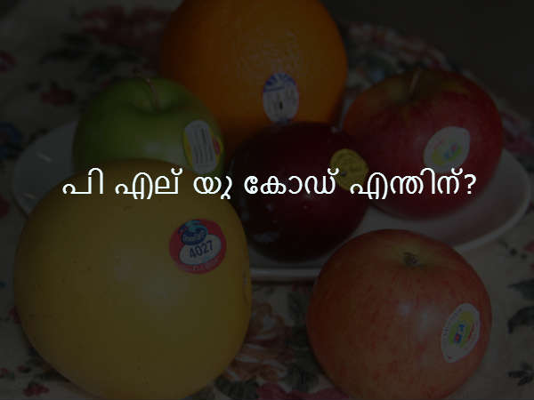 പി എല്‍ യു കോഡ് എന്തിന്?