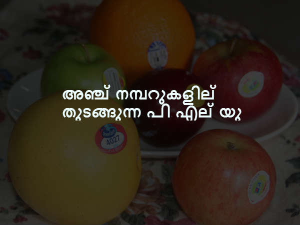  അഞ്ച് നമ്പറുകളില്‍ തുടങ്ങുന്ന പി എല്‍ യു 