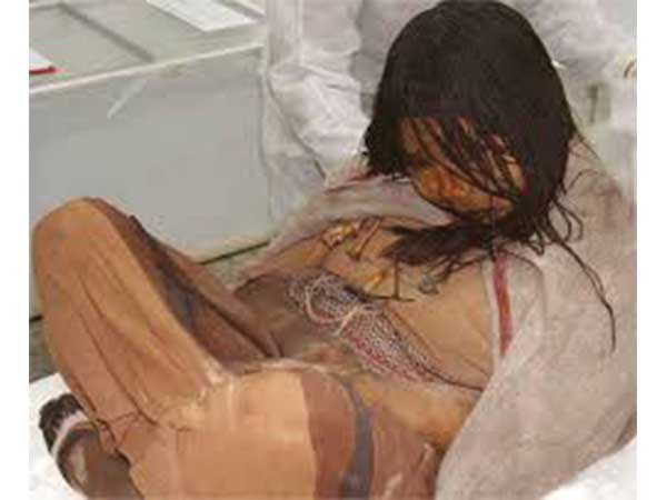 ലാ ഡോന്‍സെല്ല