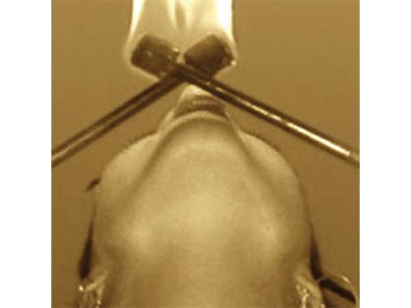 ദുരൂഹതയുണര്‍ത്തും ചിലര്‍