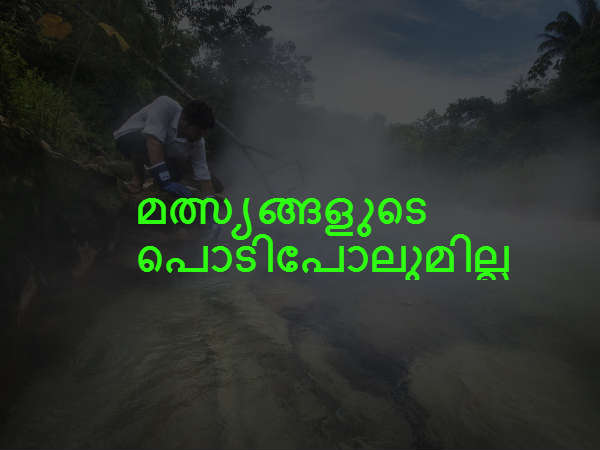  മത്സ്യങ്ങളുടെ പൊടിപോലുമില്ല