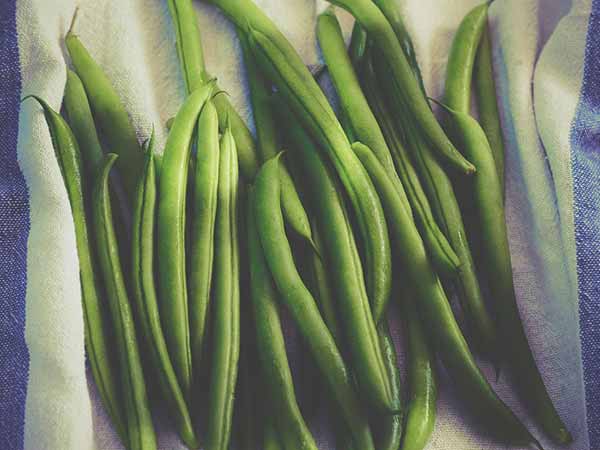 ബീന്‍സ്‌