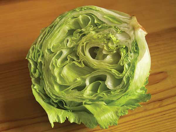 ക്യാബേജ് 