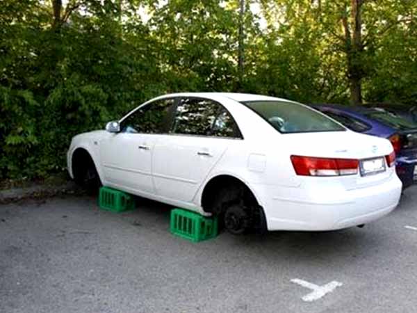 'ഛെ, ഇന്നത്തെ ദിവസം പോയി'