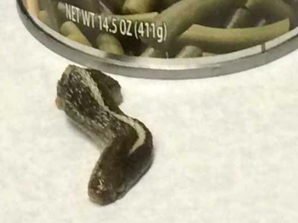 ബീന്‍സും പാമ്പും