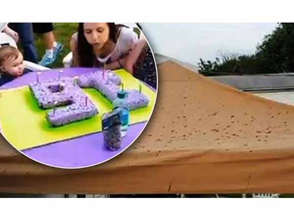 തകര്ന്നു പോയ പിറന്നാളാഘോഷം തകര്ന്നു പോയ പിറന്നാളാഘോഷം