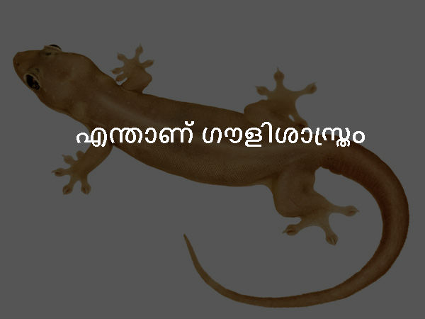 എന്താണ് ഗൗളിശാസ്ത്രം എന്താണ് ഗൗളിശാസ്ത്രം