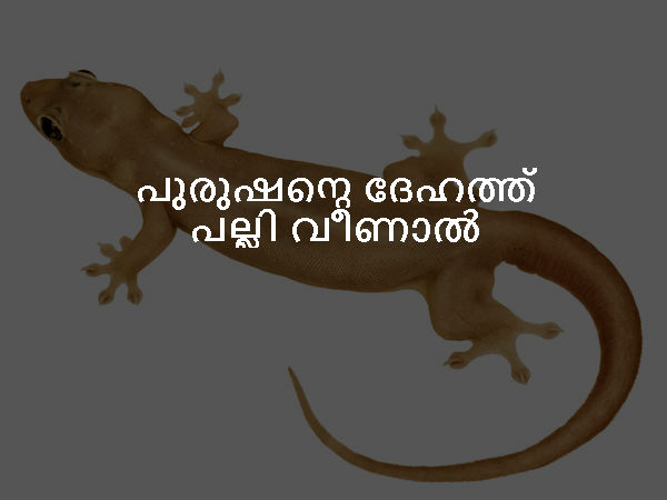 പുരുഷന്റെ ദേഹത്ത് പല്ലി വീണാല് പുരുഷന്റെ ദേഹത്ത് പല്ലി വീണാല്
