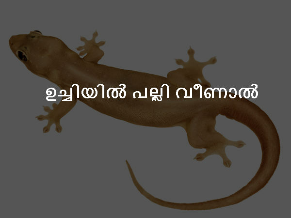ഉച്ചിയില് പല്ലി വീണാല് ഉച്ചിയില് പല്ലി വീണാല്
