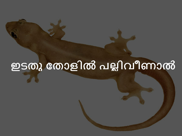 ഇടതു തോളില് പല്ലിവീണാല് ഇടതു തോളില് പല്ലിവീണാല്