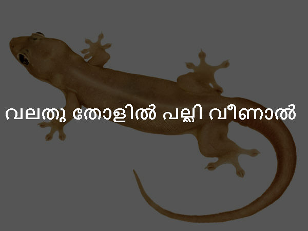 വലതു തോളില് പല്ലി വീണാല് വലതു തോളില് പല്ലി വീണാല്