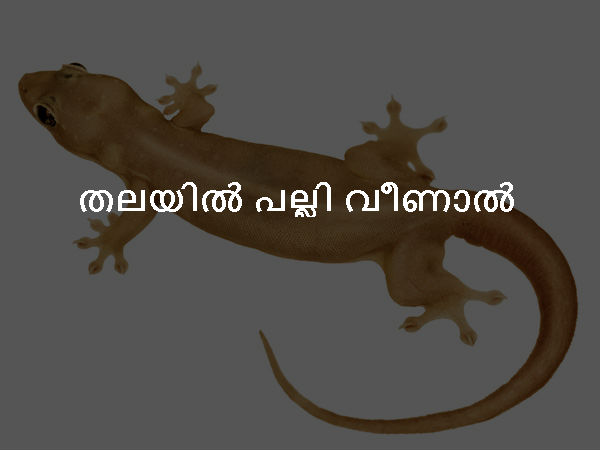 തലയില് പല്ലി വീണാല് തലയില് പല്ലി വീണാല്