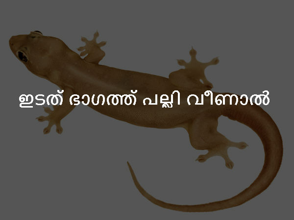 ഇടത് ഭാഗത്ത് പല്ലി വീണാല് ഇടത് ഭാഗത്ത് പല്ലി വീണാല്