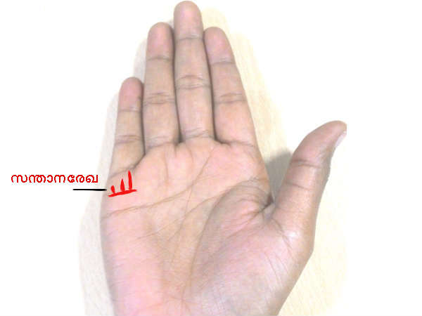  സന്താനരേഖ എവിടെ