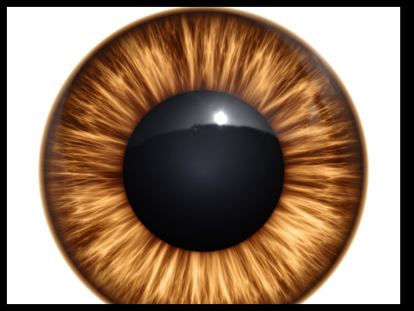 ബ്രൗണ്‍ കണ്ണു പറയും കാര്യങ്ങള്‍