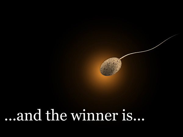 സേഫ്‌ സെക്‌സ്‌