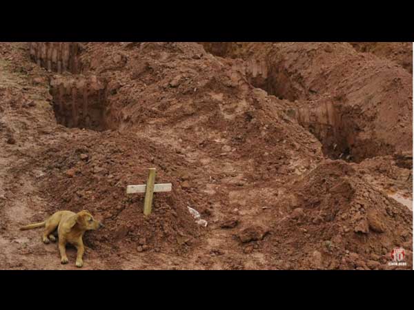 നായയുടെ വിലാപം നായയുടെ വിലാപം