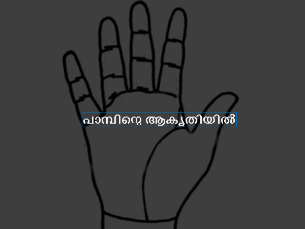 പാമ്പിന്റെ ആകൃതിയില്‍