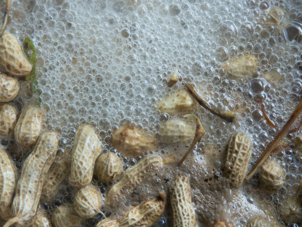 ചര്‍മസൗന്ദര്യത്തിനും