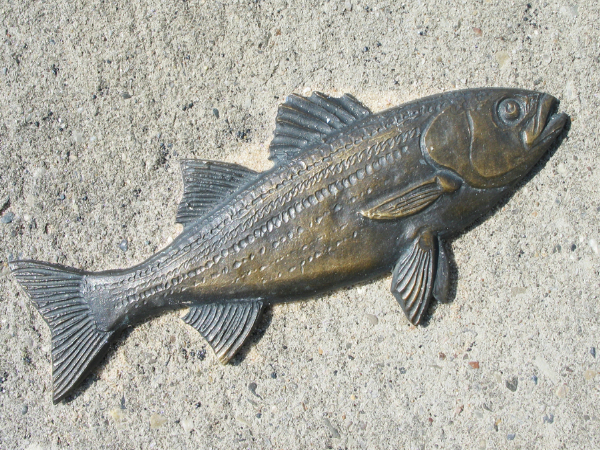 ഇവ വയ്‌ക്കൂ, വീട്ടിലെ സാമ്പത്തികപ്രശ്‌നം മാറും