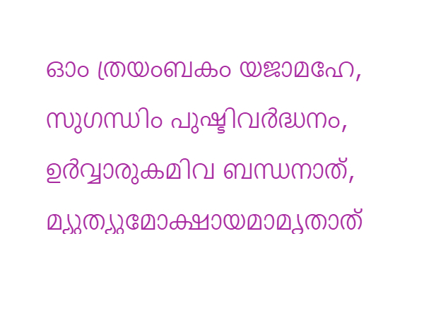 മഹാമൃത്യുഞ്ജയ മന്ത്രം ഇങ്ങനെ ചൊല്ലിയാല് മഹാമൃത്യുഞ്ജയ മന്ത്രം ഇങ്ങനെ ചൊല്ലിയാല്