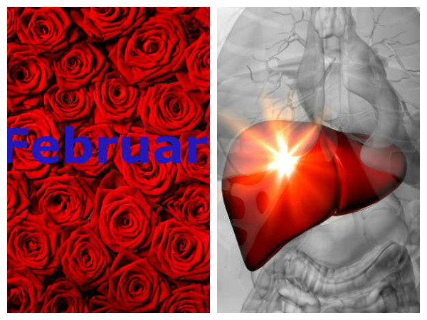 ഫെബ്രുവരി