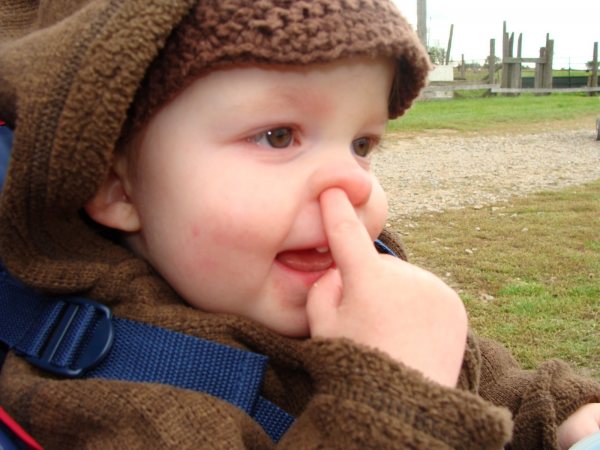 കുട്ടികള്‍ക്ക് ഏറ്റവും അപകടം