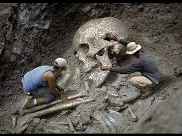 ഏറ്റവും വലിയ അസ്ഥികൂടം ഏറ്റവും വലിയ അസ്ഥികൂടം